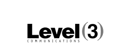 Level 3